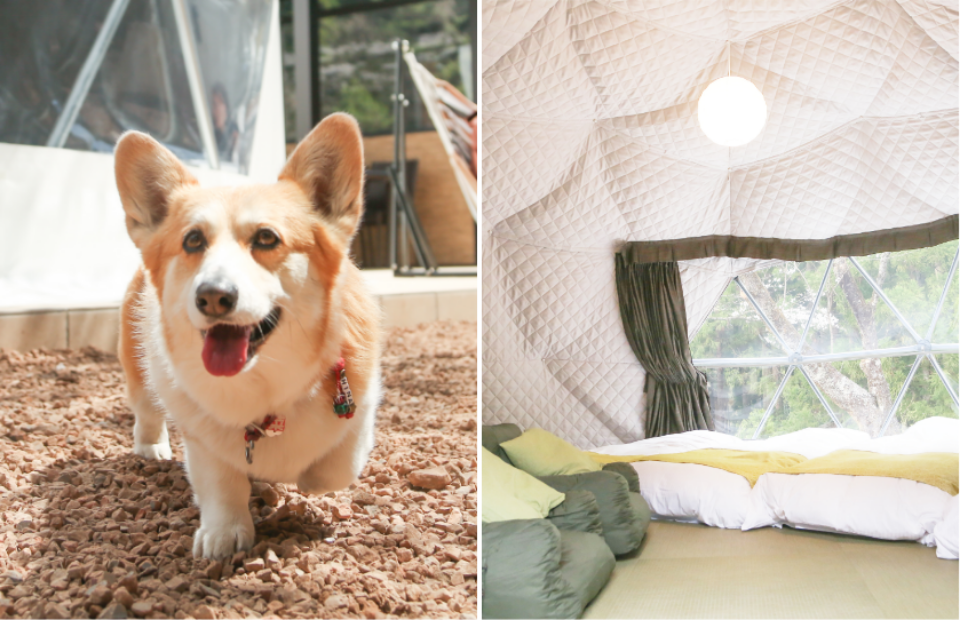 グランピングドーム凛2のイメージ写真